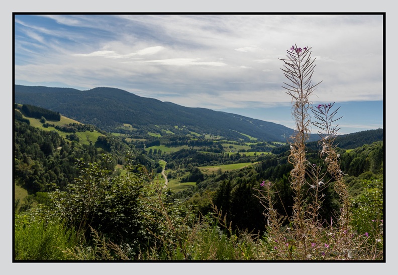 Alsace 24-09-07 0034