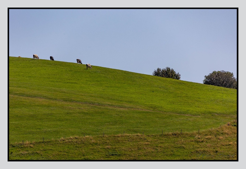 Alsace 24-09-07 0049