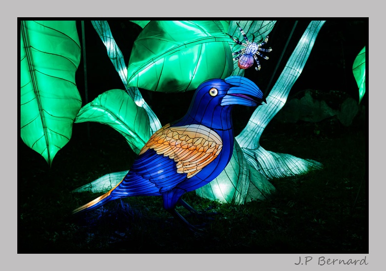 illuminationjardinPlante 23-12-21 3601