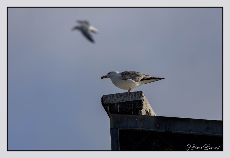 Berck 25-05-26 1392