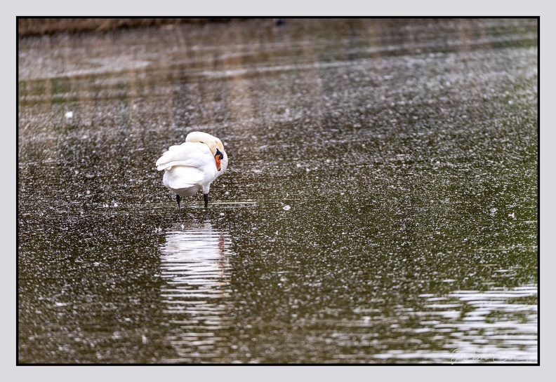 GrandLaviers 25-05-27 1311