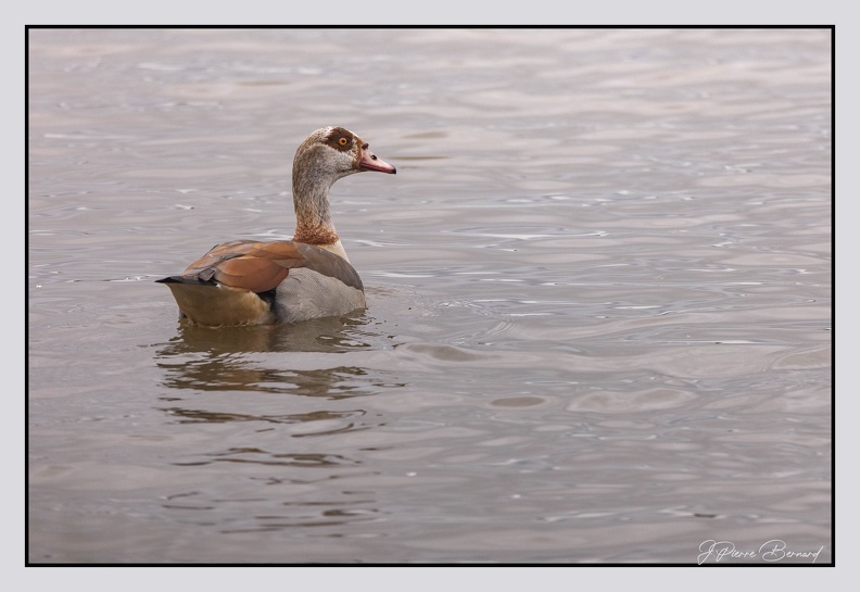 GrandLaviers 25-05-27 1357