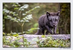SainteCroixAout23 23-08-30 0968 (829 visites) SainteCroixAout23 23-08-30 0968