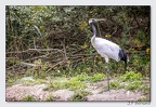 SainteCroixAout23 23-08-30 0980 (877 visites) SainteCroixAout23 23-08-30 0980