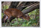 SainteCroixAout23 23-08-30 1009 (1098 visites) SainteCroixAout23 23-08-30 1009