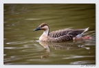 SainteCroixAout23 23-08-30 1025 (1306 visites) SainteCroixAout23 23-08-30 1025