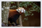SainteCroixAout23 23-08-30 1046 (1451 visites) SainteCroixAout23 23-08-30 1046