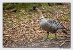 SainteCroixAout23 23-08-30 1084 (1411 visites) SainteCroixAout23 23-08-30 1084