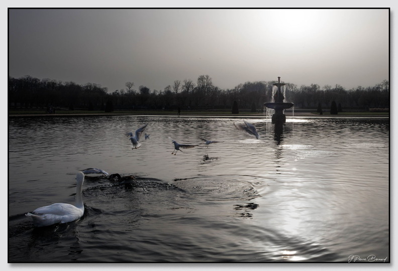 Insta Fontainebleau 26-03-07 0026