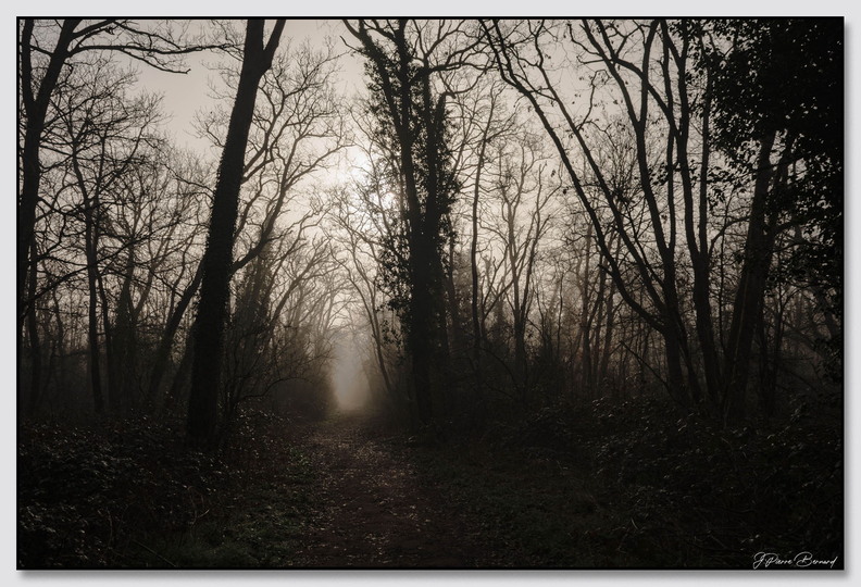 Insta Fontainebleau 26-03-08 0037