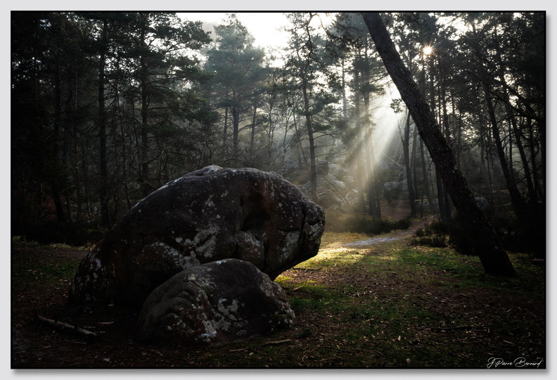 Insta Fontainebleau 26-03-08 0044