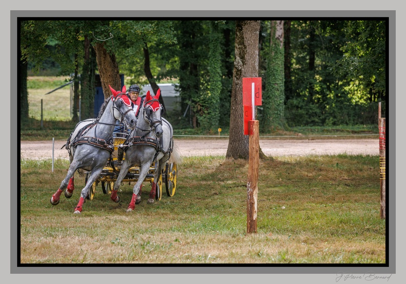 SaintMeardMarathon 25-07-20 0121