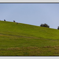 Alsace 24-09-07 0049