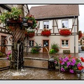 Alsace 24-09-08 0056