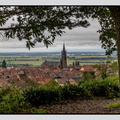 Alsace 24-09-08 0096