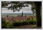 Alsace 24-09-08 0096