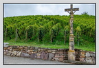 Alsace 24-09-08 0153