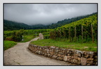 Alsace 24-09-08 0155
