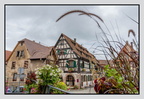 Alsace 24-09-08 0187