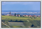 Alsace 24-09-09 0280
