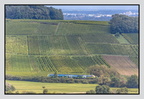 Alsace 24-09-09 0284