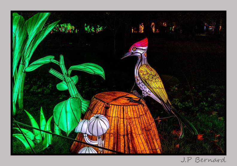 illuminationjardinPlante 23-12-21 3440