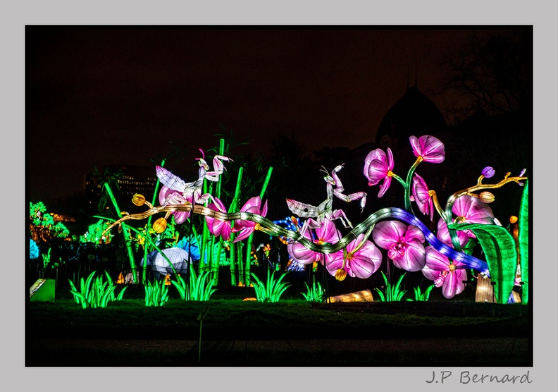 illuminationjardinPlante 23-12-21 3447