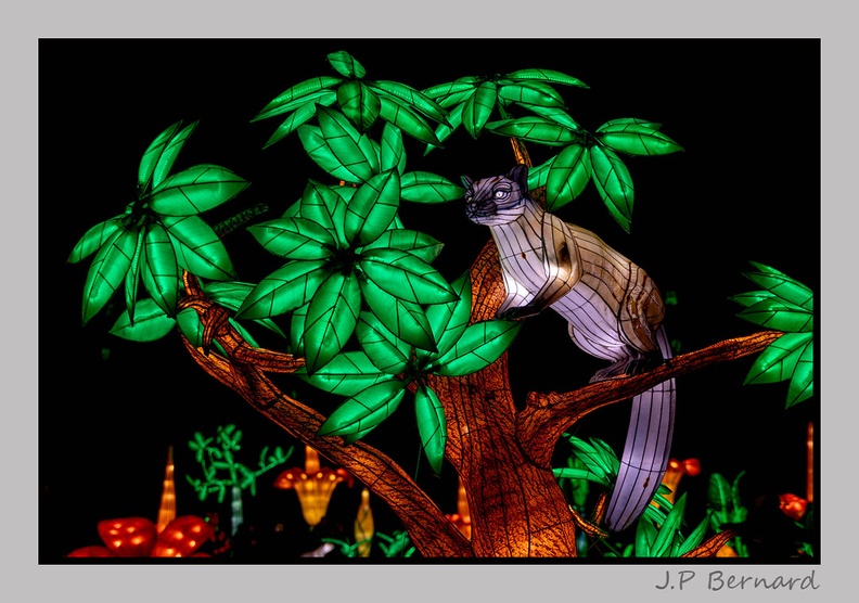 illuminationjardinPlante 23-12-21 3463