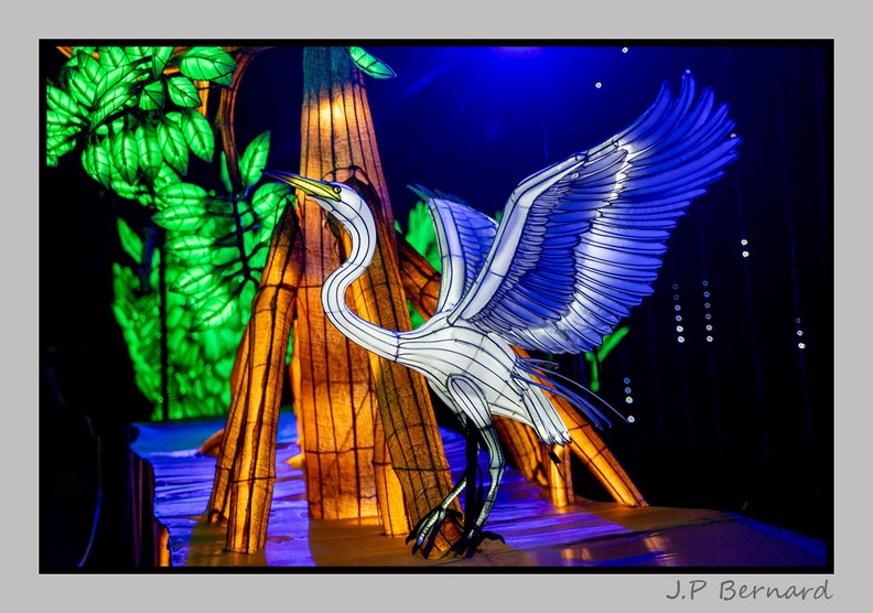 illuminationjardinPlante 23-12-21 3491