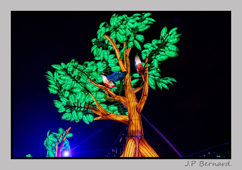 illuminationjardinPlante 23-12-21 3498