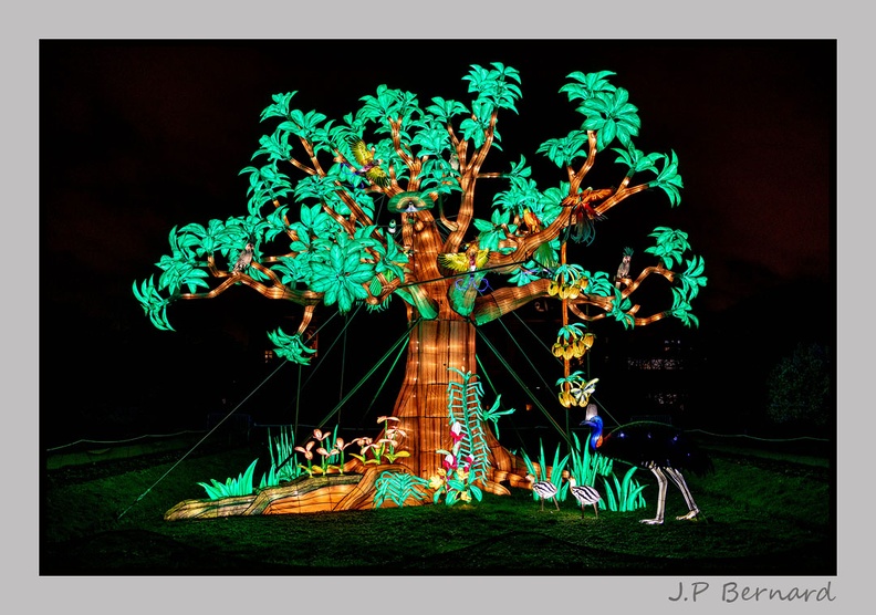 illuminationjardinPlante 23-12-21 3499