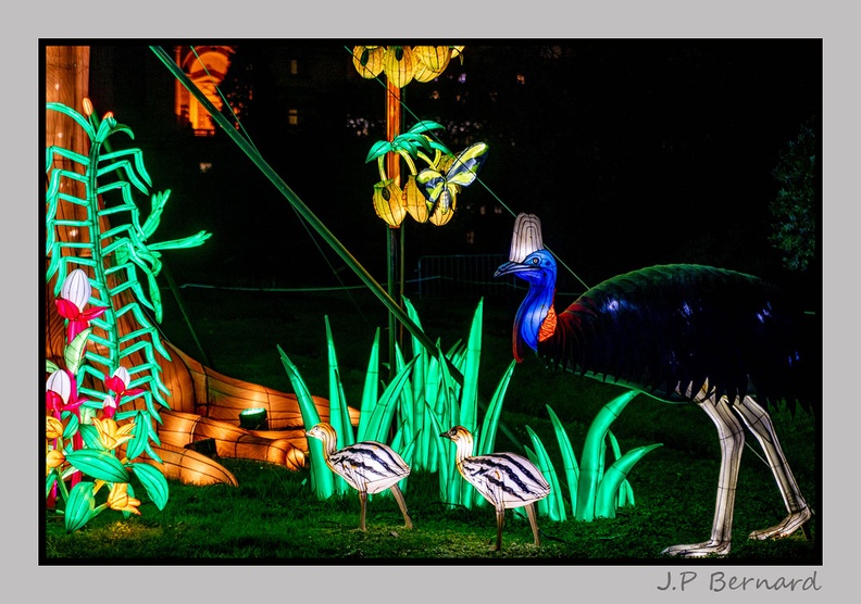 illuminationjardinPlante 23-12-21 3505