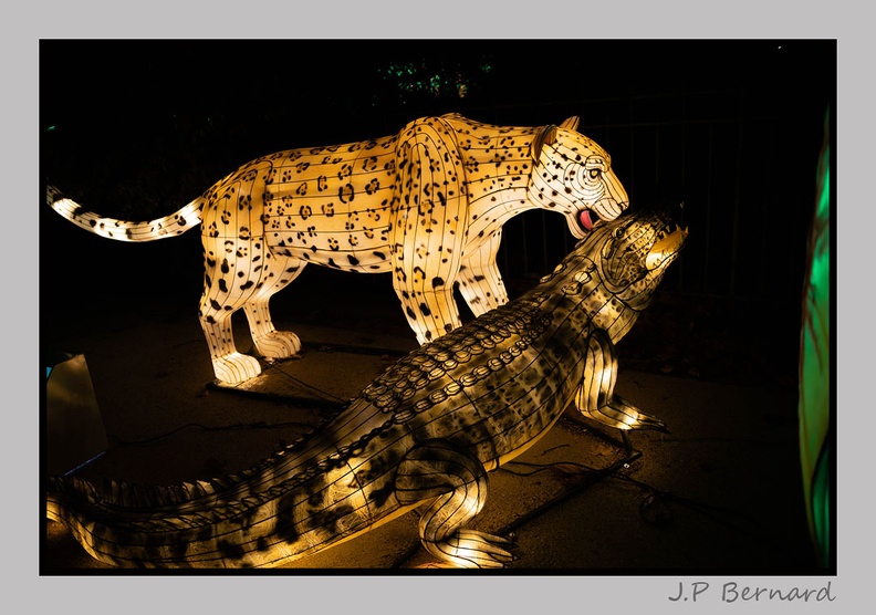 illuminationjardinPlante 23-12-21 3515