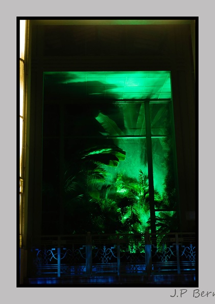 illuminationjardinPlante 23-12-21 3521