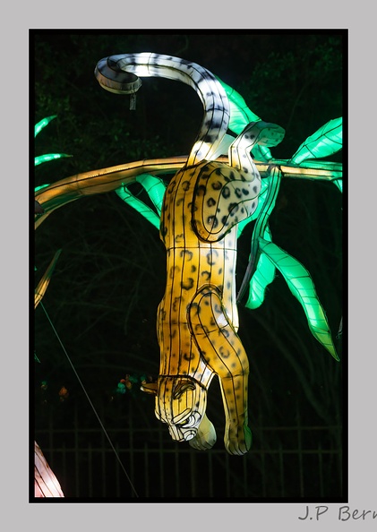 illuminationjardinPlante 23-12-21 3531