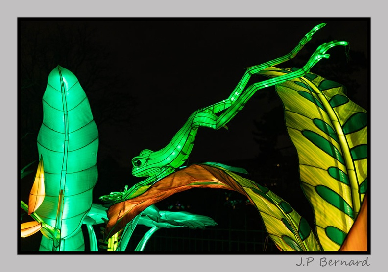 illuminationjardinPlante 23-12-21 3551