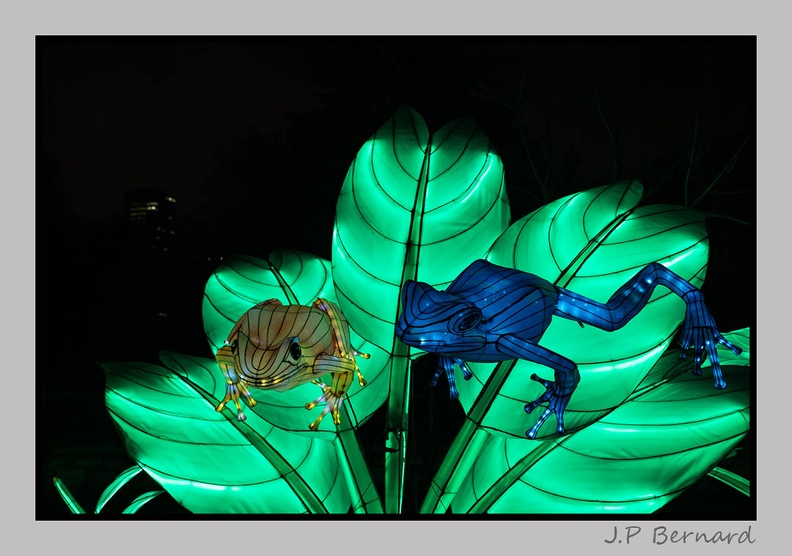 illuminationjardinPlante 23-12-21 3556