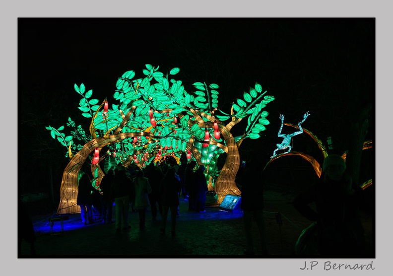 illuminationjardinPlante 23-12-21 3558