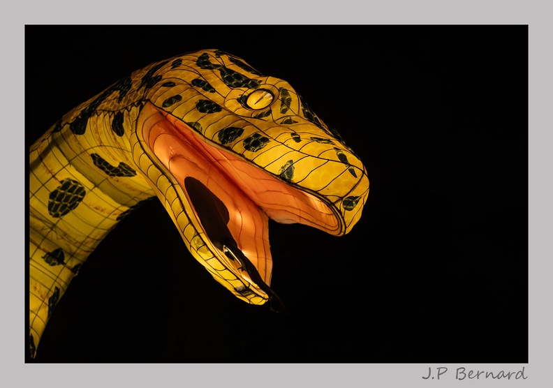 illuminationjardinPlante 23-12-21 3569