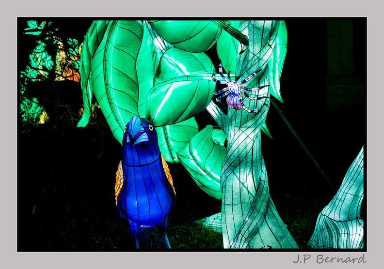 illuminationjardinPlante 23-12-21 3594