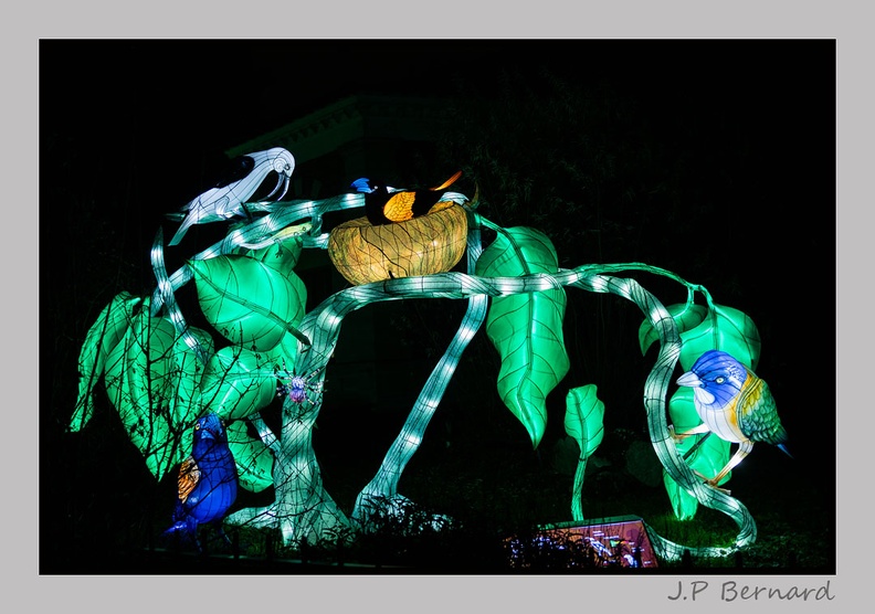 illuminationjardinPlante 23-12-21 3600