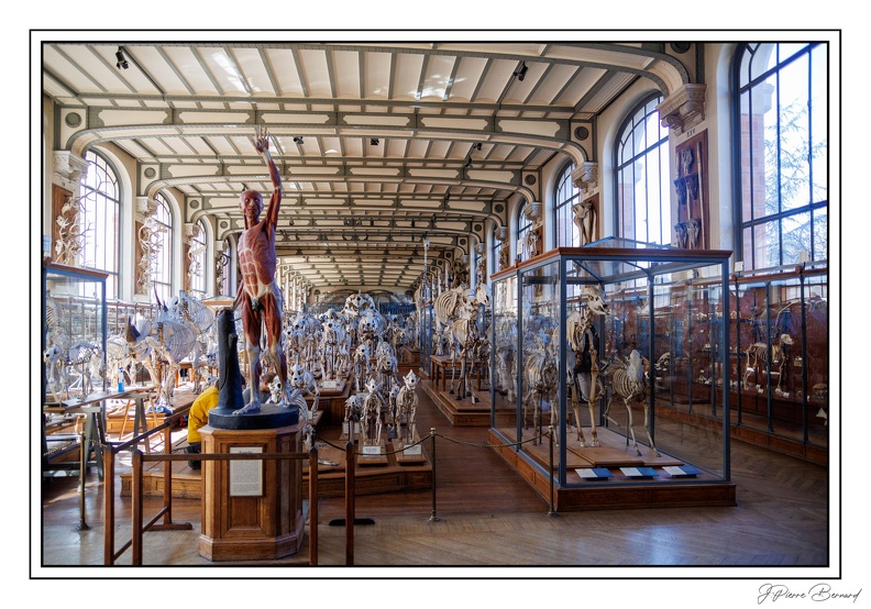 MenagerieJardinPlantes 25-03-20 0061