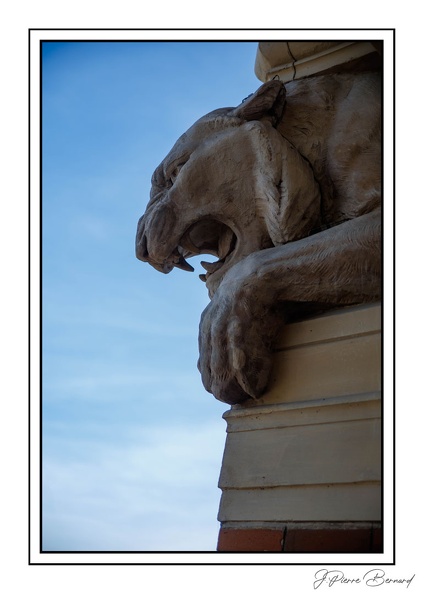 MenagerieJardinPlantes 25-03-20 0073