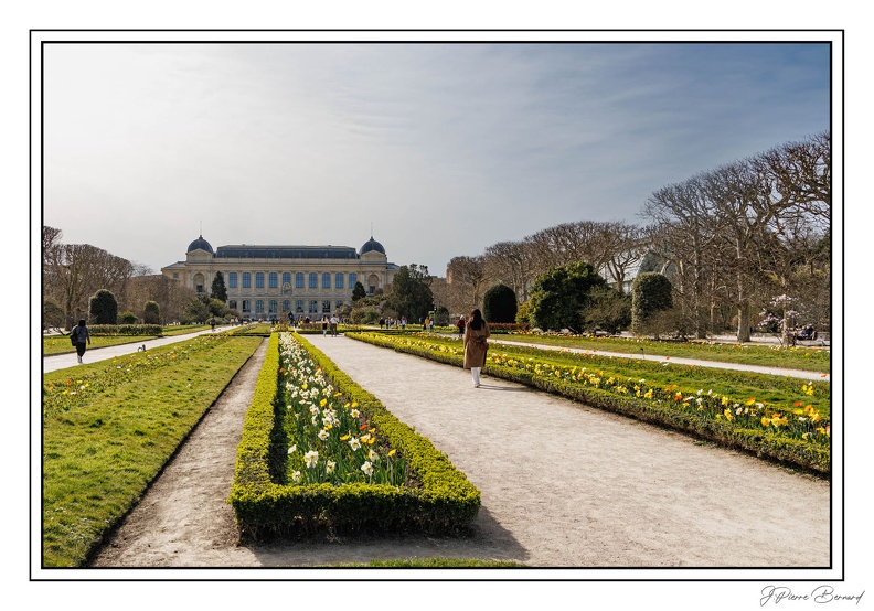 MenagerieJardinPlantes 25-03-20 0083