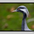 Beauval 27-10-15-0006