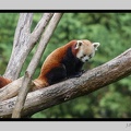Beauval 27-10-15-0011