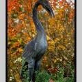 Beauval 27-10-15-0038