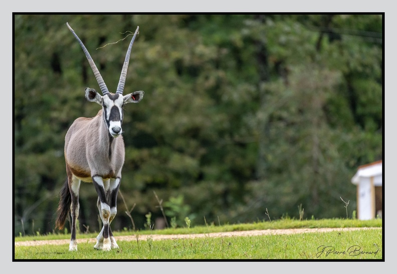 LaFleche 2024-09-26 0005