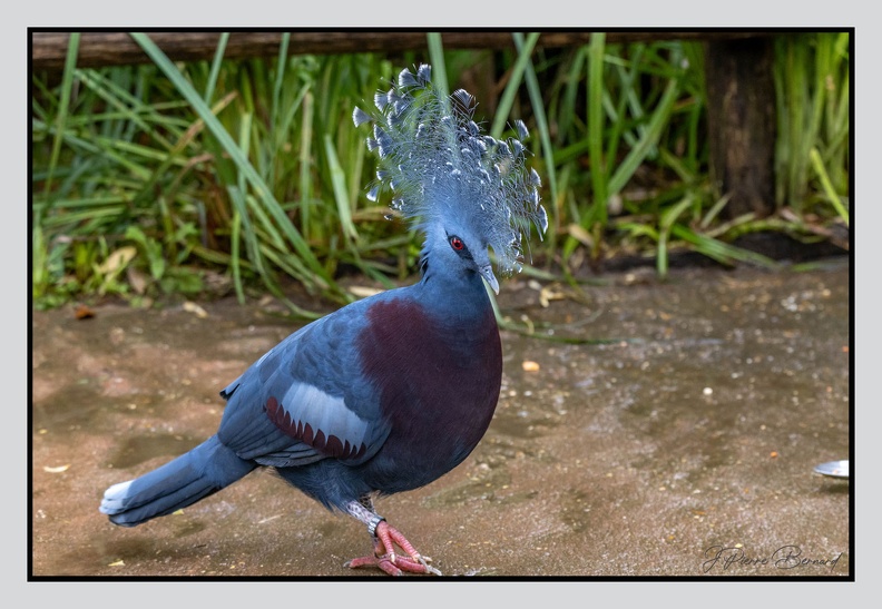 LaFleche 2024-09-26 0036