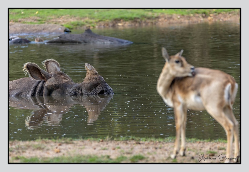 LaFleche 2024-09-26 0052